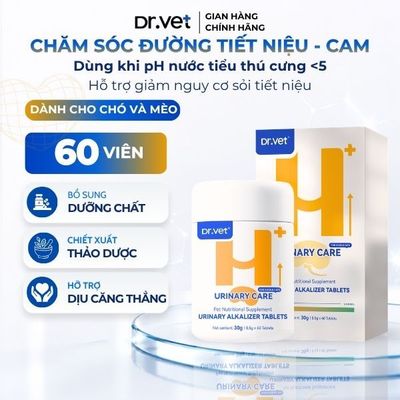 Viên Uống Hỗ Trợ Sức Khỏe Đường Tiết Niệu Cho Thú Cưng DrVet - Vàng
