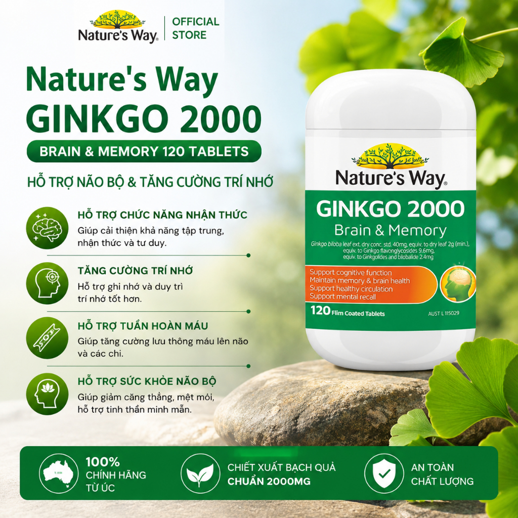 Nature's Way Ginkgo 2000 Brain & Memory 120 Tablets