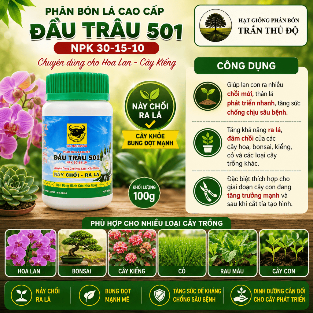 PHÂN BÓN LÁ ĐẦU TRÂU 501 - NPK 10-15-10 HỦ 100GR