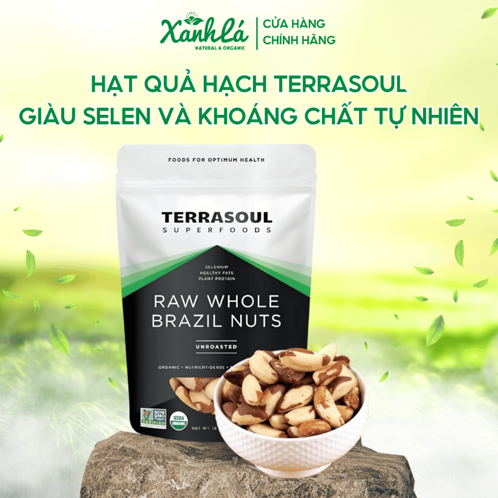Hạt Quả Hạch Hữu Cơ Terrasoul - 454g - Organic Brazil nuts, Hạt Dinh Dưỡng Tự Nhiên Giòn Ngon