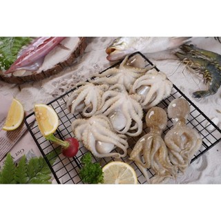 BẠCH TUỘC 2DA . Khay 500g  (giao hỏa tốc)