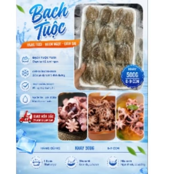 BẠCH TUỘC 2DA . Khay 500g  (giao hỏa tốc)