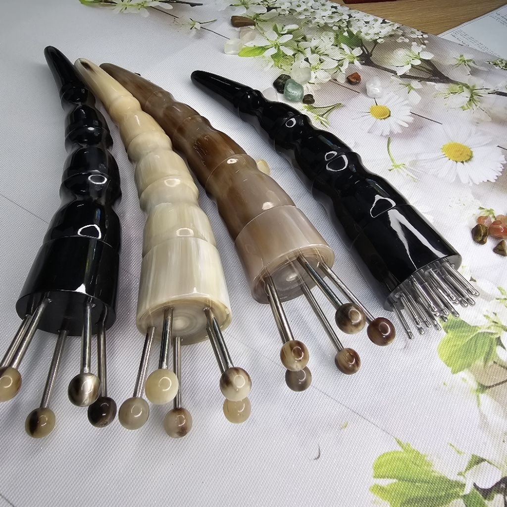 Bọ cạp hoa khế sừng đen 1