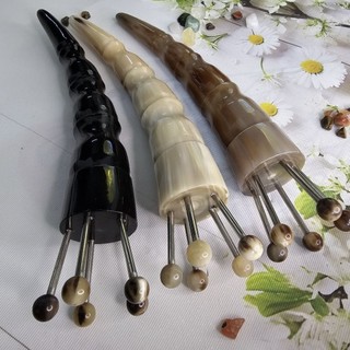 Bọ cạp hoa khế sừng đen 1