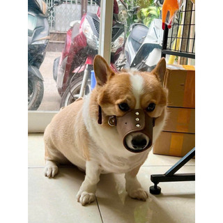 RỌ MÕM CHÓ BẰNG DA BÒ