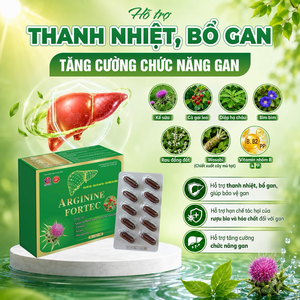 [1Quà]Arginine Fortec - Hỗ trợ thanh nhiệt, bổ gan, tăng cường chức năng gan, giảm triệu chứng nóng 