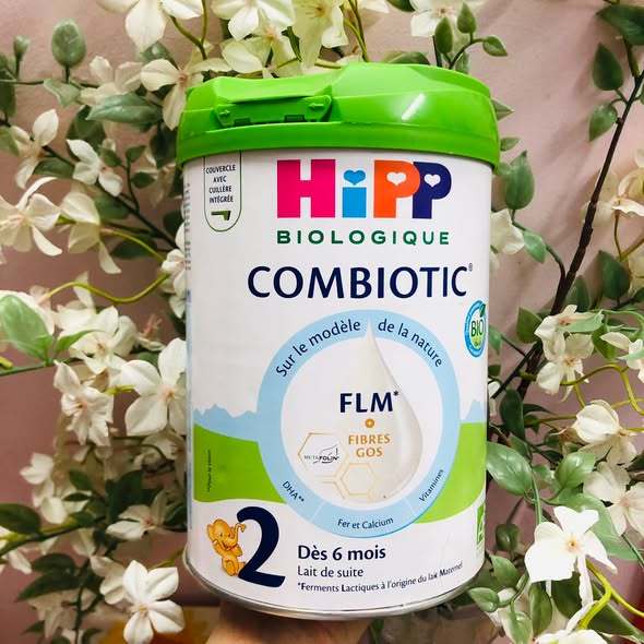 Sữa bột Organic Hữu cơ Hipp nội địa Pháp - 6th+