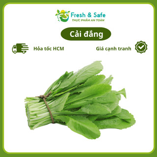 [Chỉ Giao HCM] Cải Đắng/Cải Bẹ Xanh - 500g