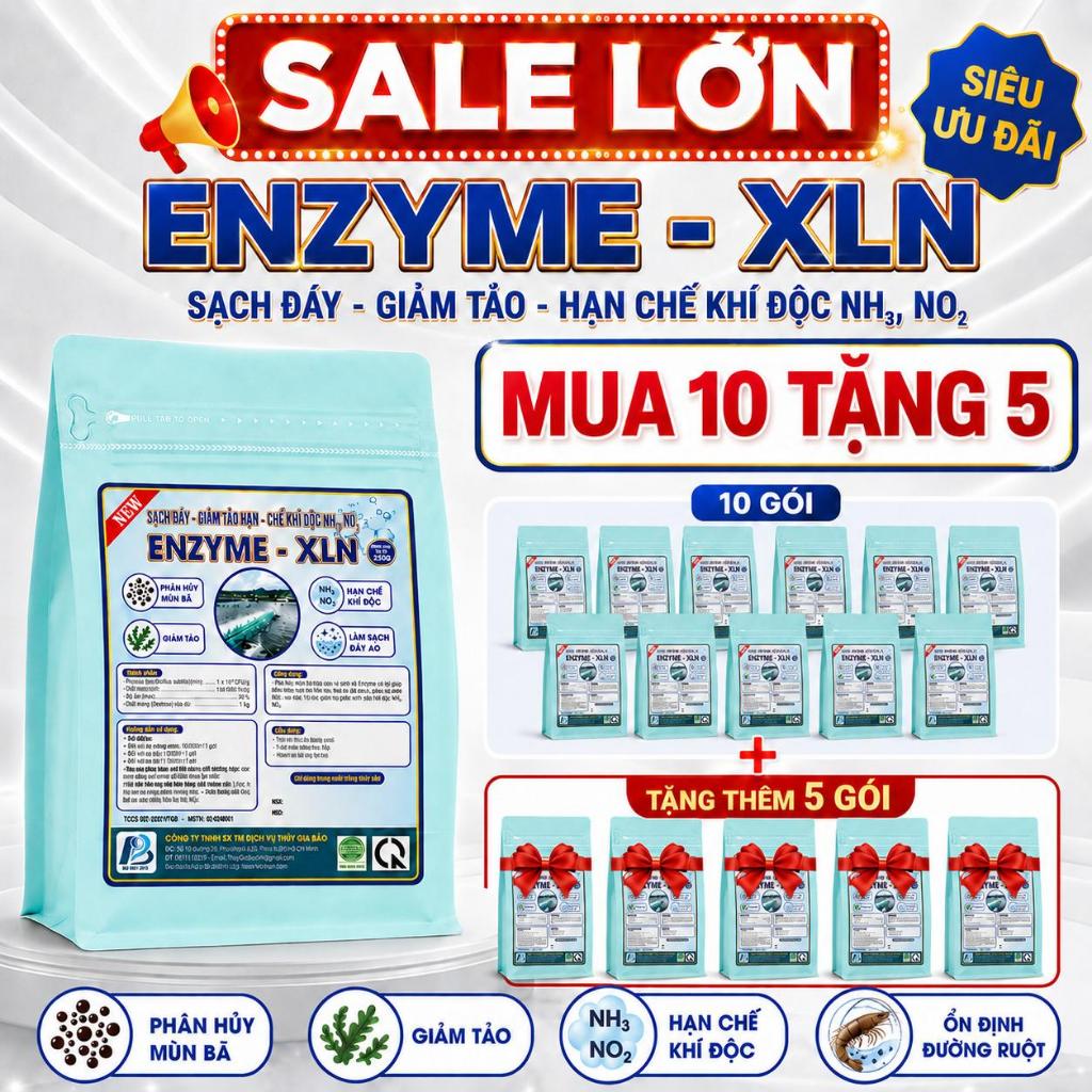 (MUA 10 TẶNG 5 ƯU ĐÃI CÓ HẠN )ENZYME - XLN 250G - Vi sinh và enzyme hỗ trợ phân hủy mùn bã, giảm tảo