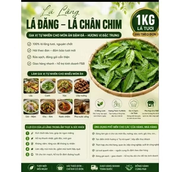 1 KG LÁ LẰNG TƯƠI.LÁ ĐẮNG.LÁ CHÂN CHIM( hương vị tự nhiên độc đáo cho các món ăn)