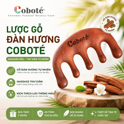 Lược Gỗ Đàn Hương Massage Đầu Coboté – Lược Chải Tóc Thư Giãn Da Đầu, Giảm Rối, Chăm Sóc Tóc