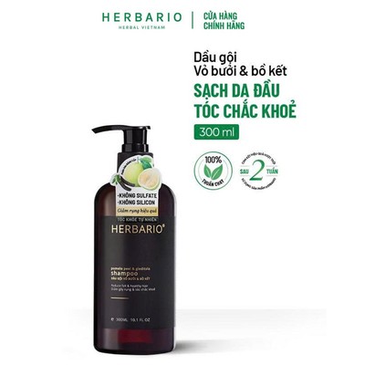 Bản Nâng Cấp - Dầu gội vỏ bưởi & bồ kết 300ml không sulfate không silicon