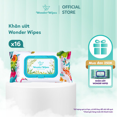 Combo 16 Khăn Giấy Ướt Wonder Wipes 100 tờ/gói Chiết Xuất Lô Hội, Không Cồn, Không Paraben (MỚI)