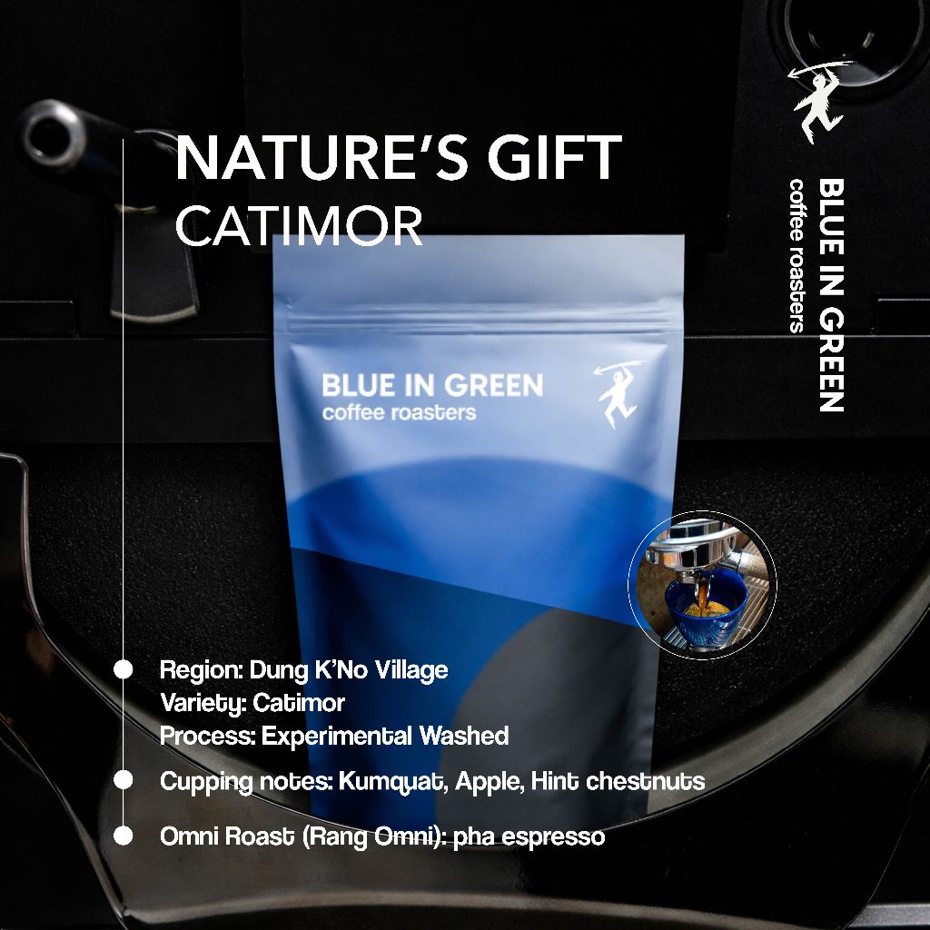 Cà phê rang Nature's Gift Catimor - Rang Omni - Blue in Green Coffee Roasters