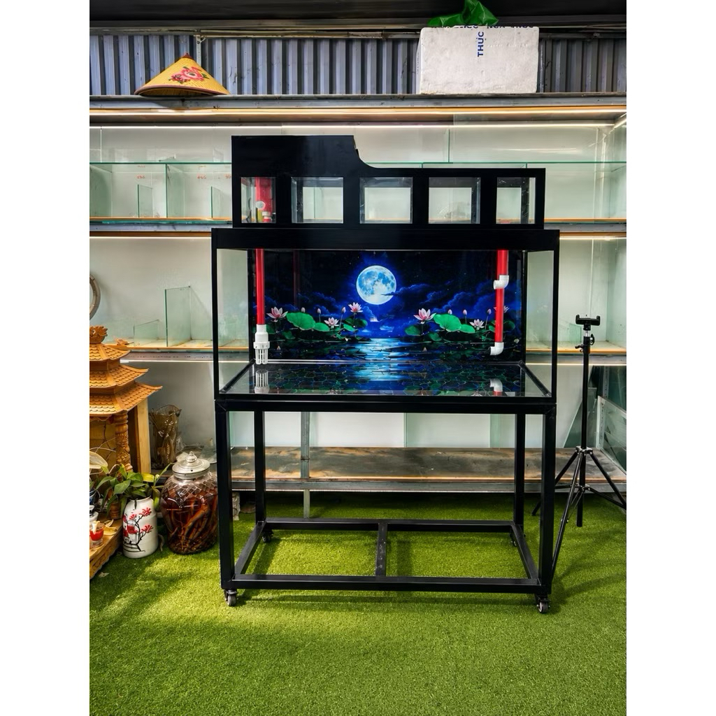Trọn bộ bể 80x40x40 tràn trên, GH toàn quốc