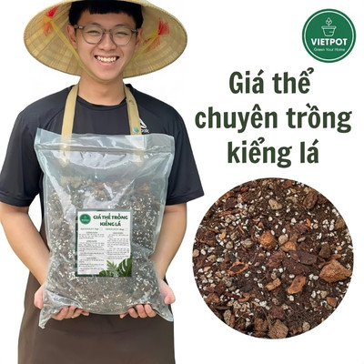 Giá thể trồng kiểng lá Vietpot, trộn sẵn, chuyên dùng cho cây trong nhà, ngoài trời, Monstera...