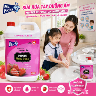 Can Nước rửa tay khử mùi Mr.Fresh 5L Hương Dâu