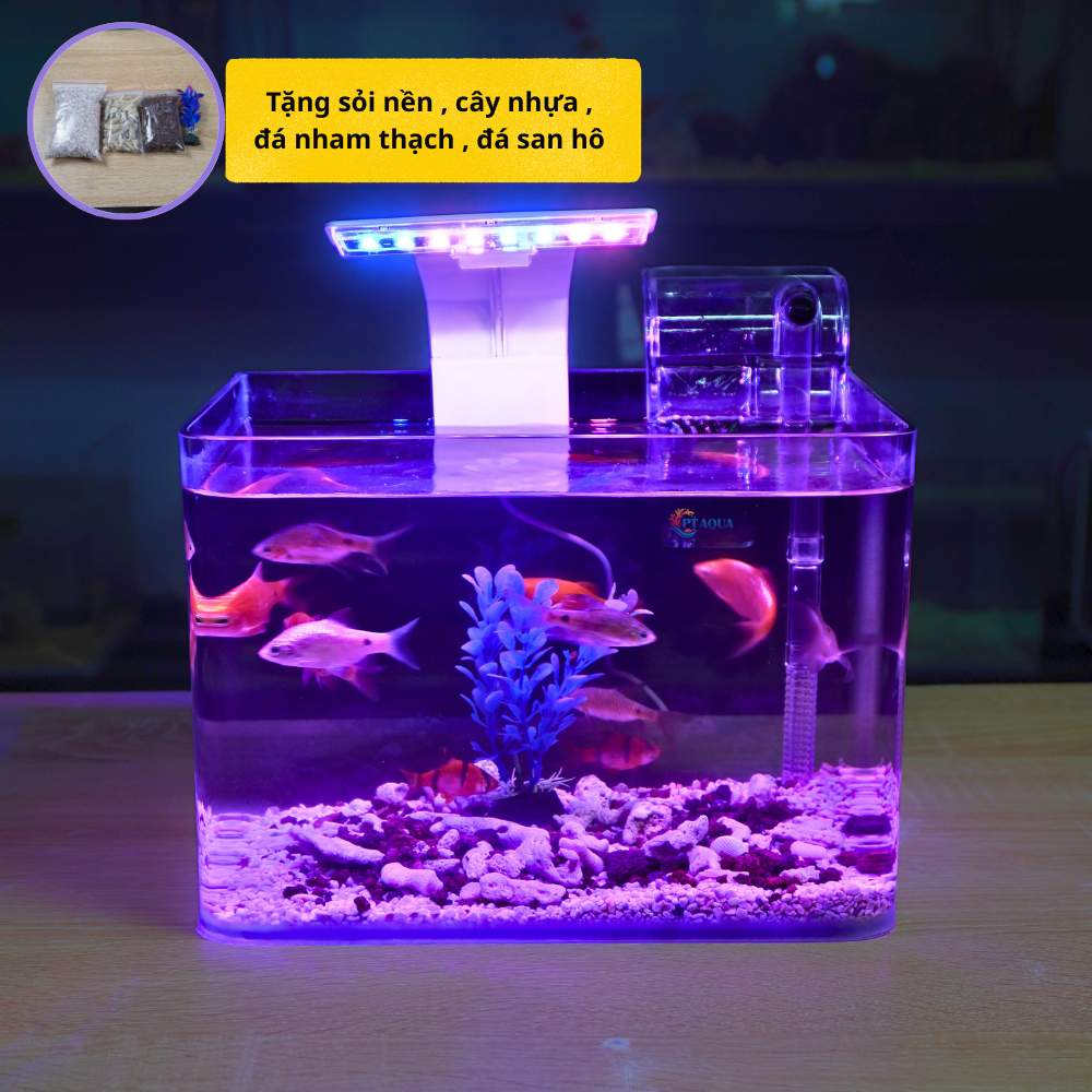 Bể cá mini Đúc uốn cong 25x16x18cm để bàn Với nhiều mẫu lựa chọn có kèm phụ kiện sỏi nền và cây nhựa
