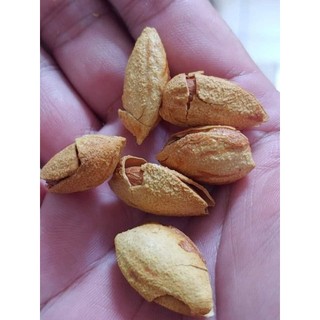 Túi 500g hạnh nhân rang bơ vỏ mỏng.