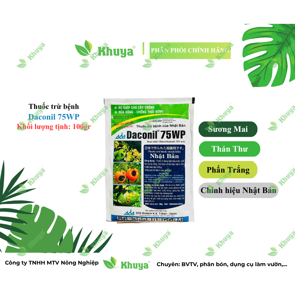 Thuốc trừ bệnh Daconil 75WP 100gr Nhật Bản Sương Mai và Thán Thư