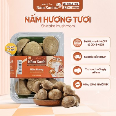 [HCM] Nấm Hương (Đông Cô) Tươi 200gr Ngon Loại To Chắc - Nông Trại Nấm Xanh