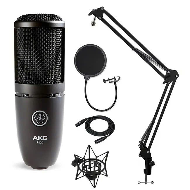 Micro Condenser AKG P120