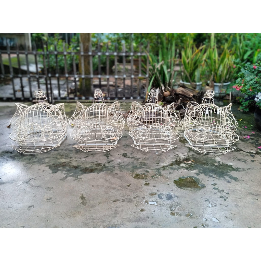 sườn lân mỏ tròn kích thước 1m45 ( cao 60cm )