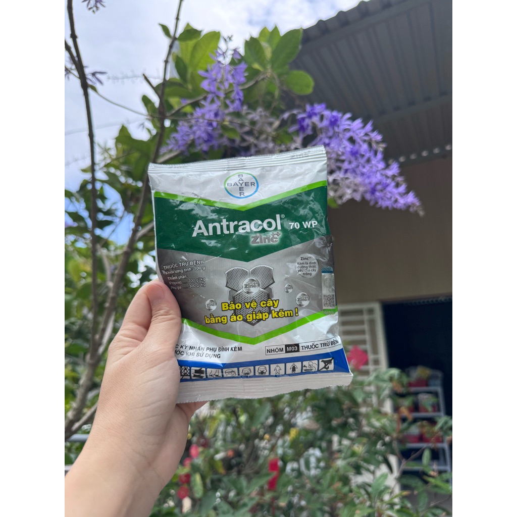 Trừ bệnh trên cây trồng Antracol 70wp gói 100g