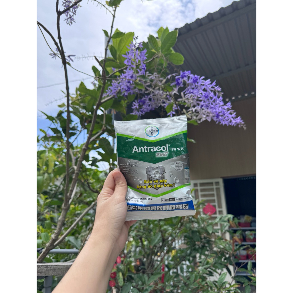 Trừ bệnh trên cây trồng Antracol 70wp gói 1kg