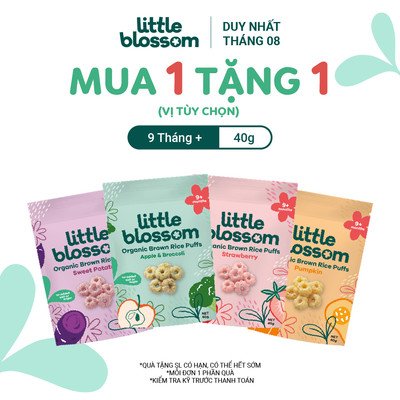 MUA 1 TẶNG 1 - HSD 2/2027- Bánh Gạo Lứt Cho Bé Little Blossom 40g - Ăn Dặm- Dễ Tan - Hữu Cơ