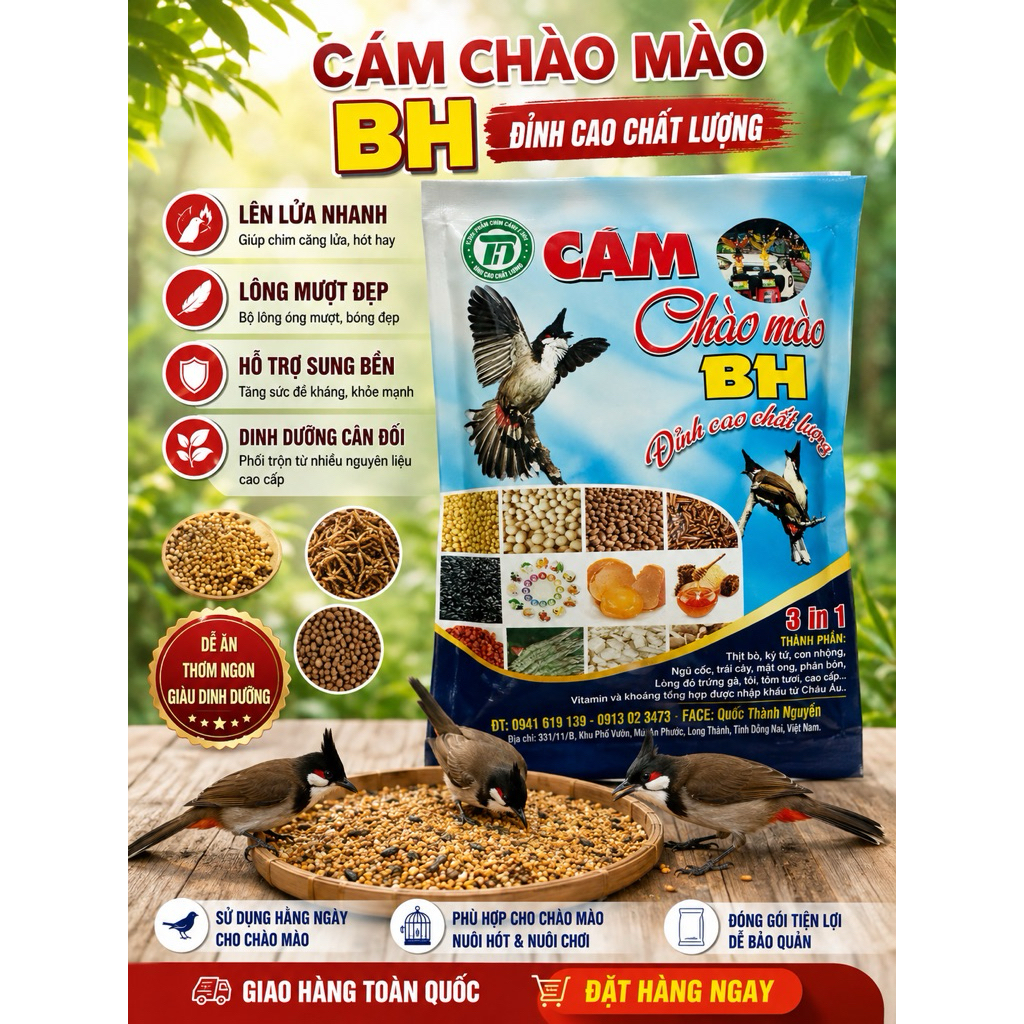 Cám Chào Mào BH 3in1 -200gr