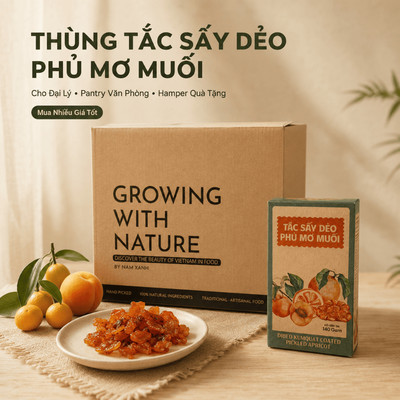 Thùng Tắc Sấy Dẻo Mơ Muối Nam Xanh, Giá Tốt Cho Đại Lý, Pantry Văn Phòng, Mua Nhiều Giá Tốt