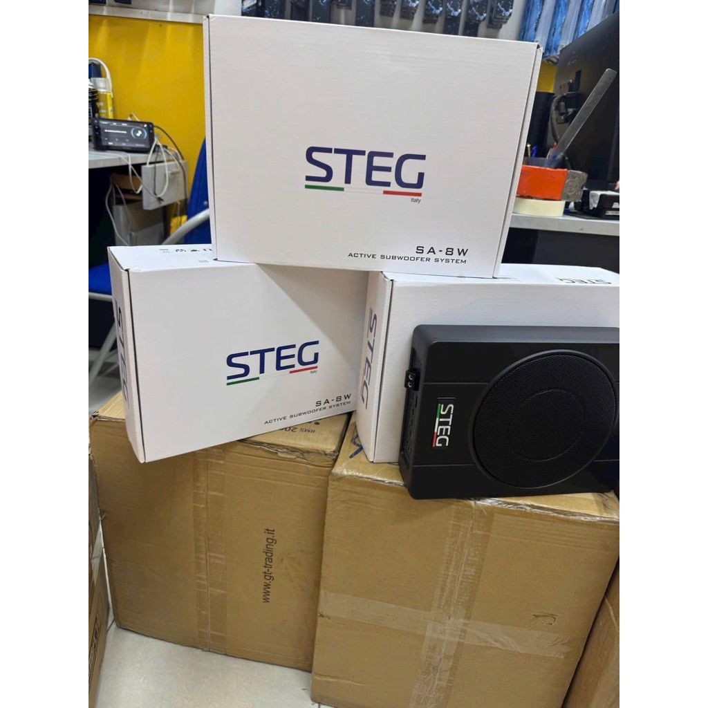 Loa sub điện gầm ghế ô tô STEG SA-8W