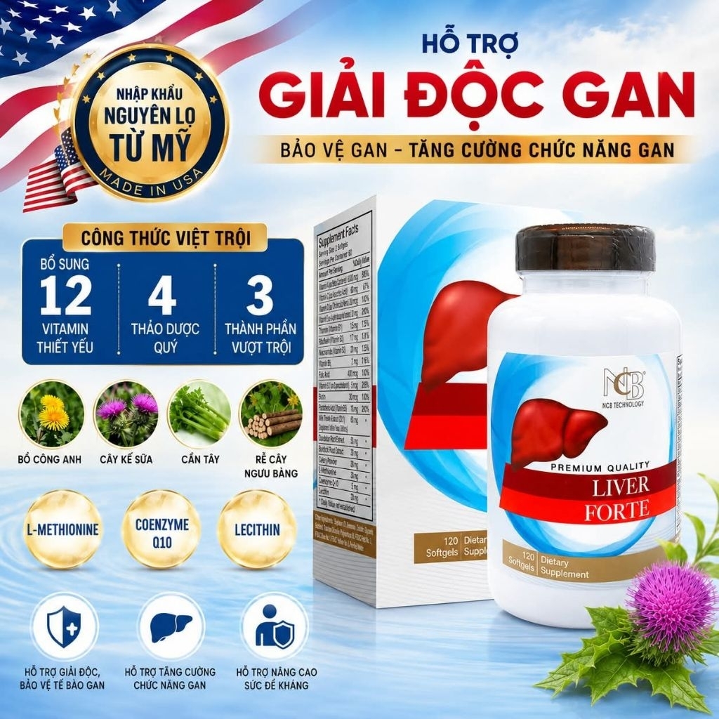 {Chính hãng} Viên uống giải độc gan Liver Forte NCB giúp phục hồi và bảo vệ tế bào gan (60v/120v)