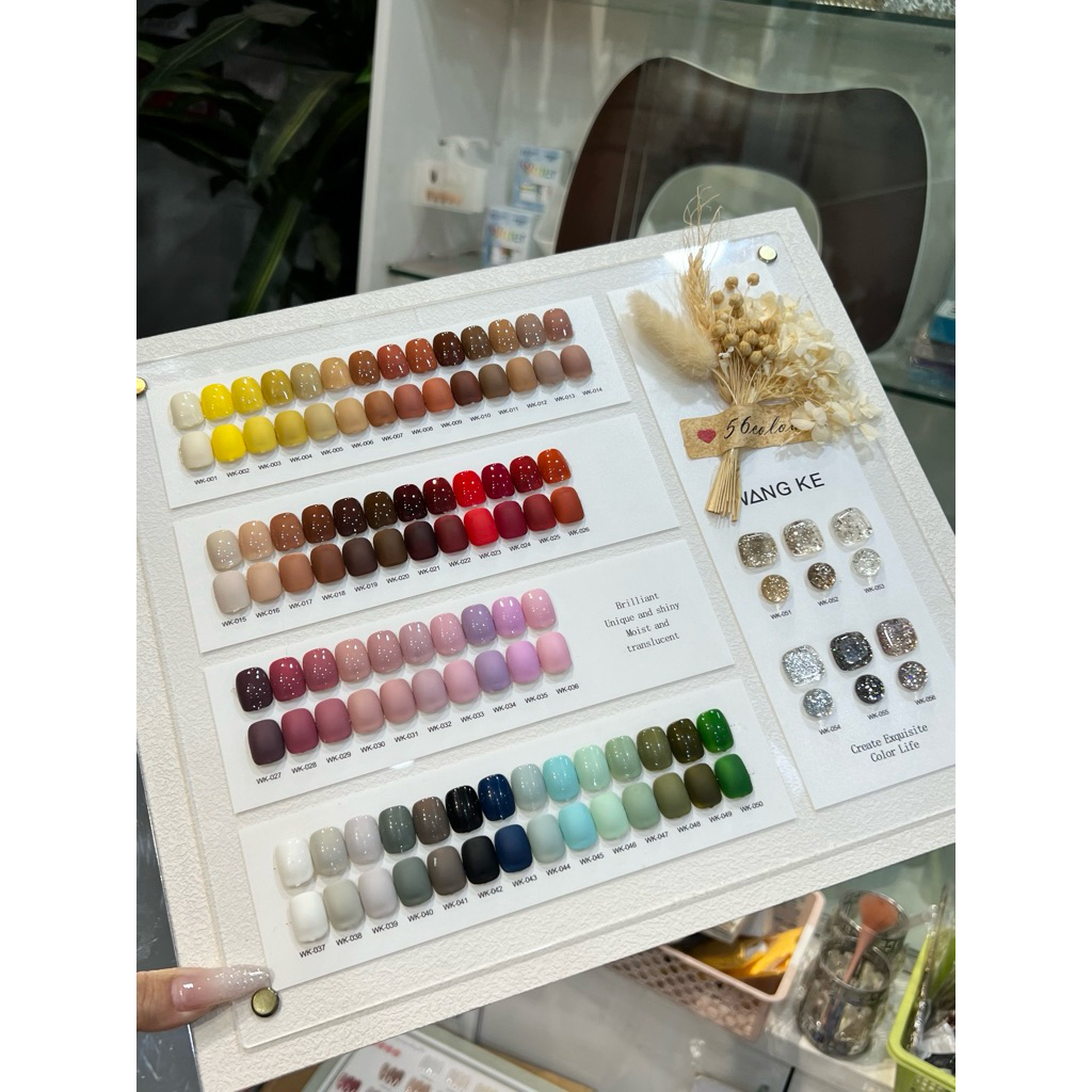 set sơn wangke 56 màu