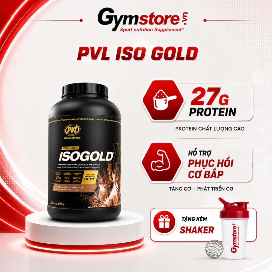 Sữa tăng cơ PVL ISO Gold-Premium Whey Protein With Probiotic, không nóng trong, đầy bụng - Gymstore