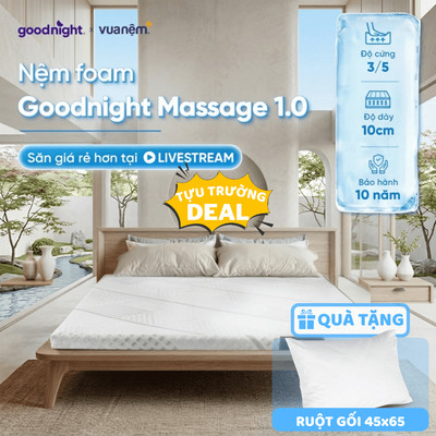 [TẶNG GỐI] Nệm Foam Cấu Trúc Lượn Sóng Goodnight Massage 9/10cm,Đệm foam êm, Nâng đỡ,Siêu Nhẹ