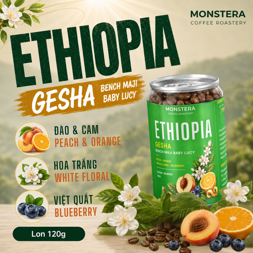 Ethiopia Baby Gesha - Bench Maji Baby Lucy - Nguyên hạt - Specialty Coffee - Monstera Roastery