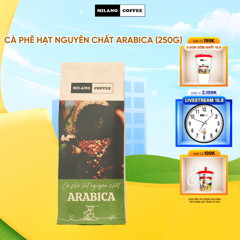 Cà phê hạt nguyên chất Arabica Milano Coffee (250g)
