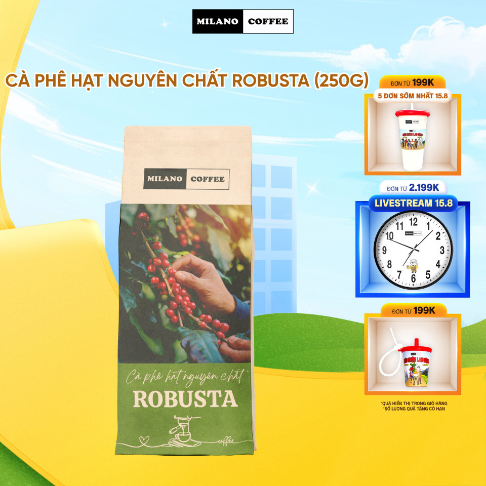 Cà phê hạt nguyên chất Robusta Milano Coffee (250g)