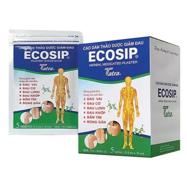 Cao dán thảo dược giảm đau Ecosip hộp 20 túi