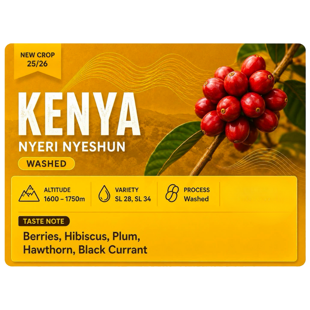 CÀ PHÊ KENYA NYERI NYESHUN - WASHED PROCESS -  EPIC Coffee Roaster