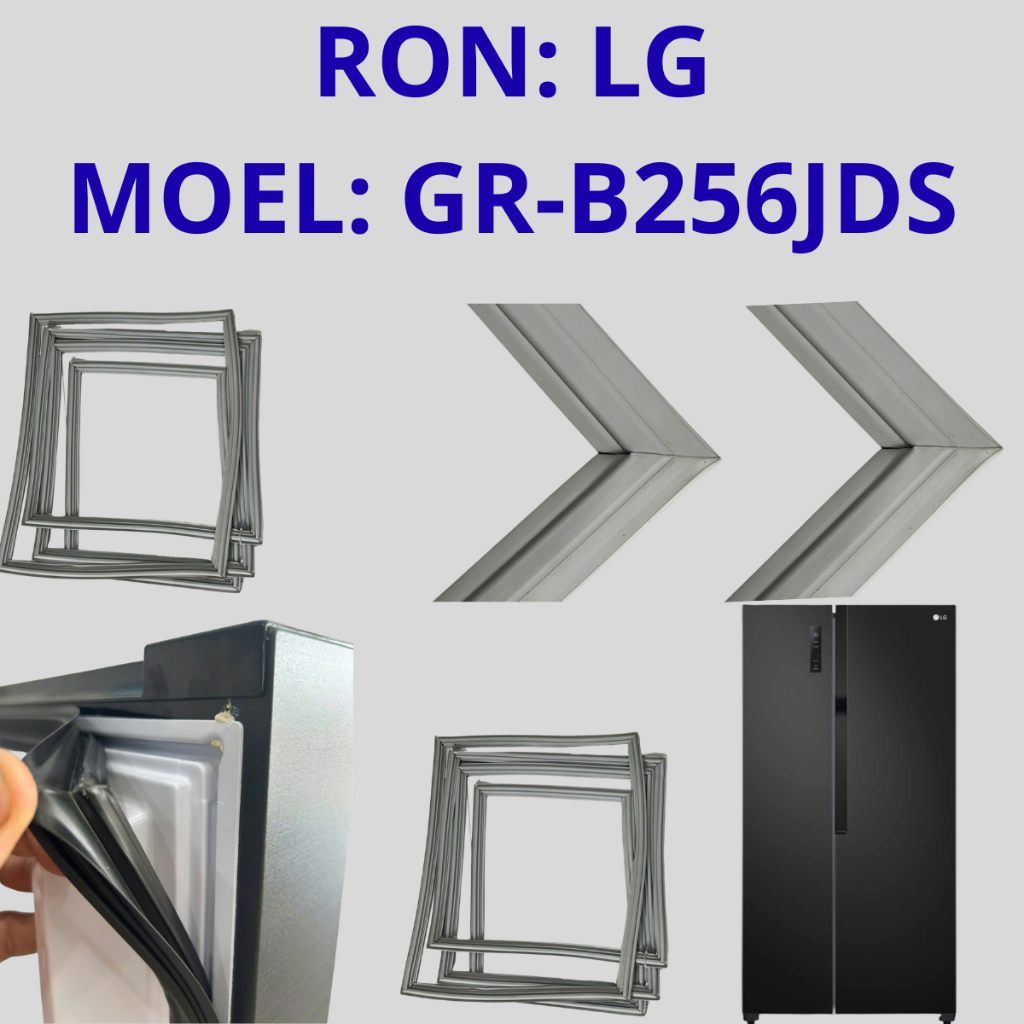 RON: LG MOEL: GR-B256JDS