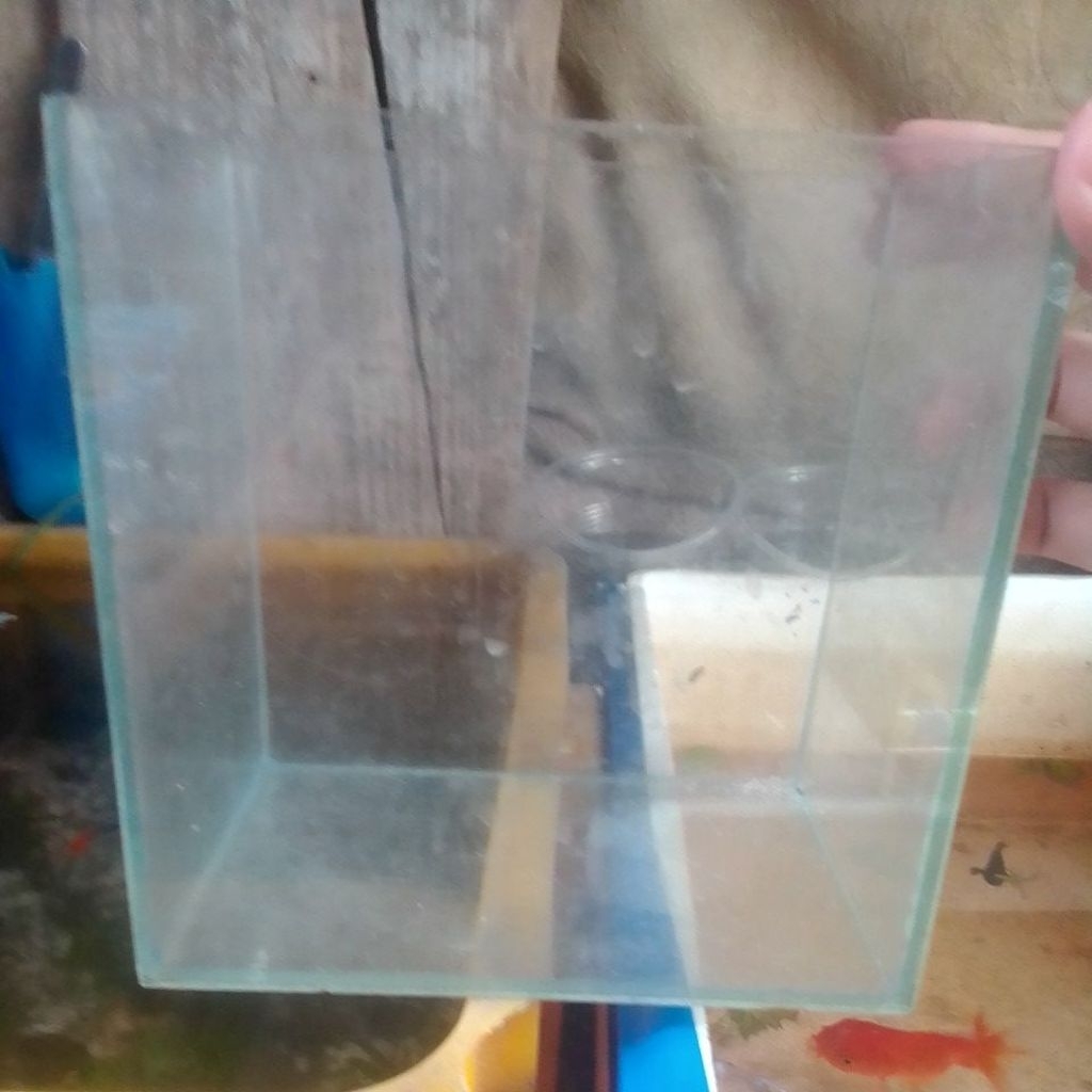 Bế kính 10x15x10 đã qua sử dụng