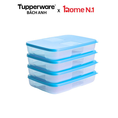 Bộ hộp trữ đông Tupperware Happy Set 650ml 4 hộp - Bảo hành trọn đời - Nhựa nguyên sinh