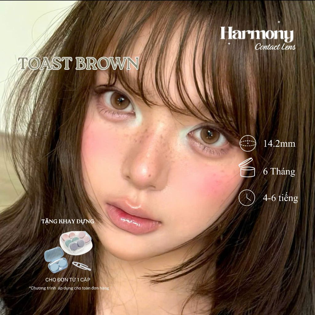 Kính áp tròng - lens nâu có viền 6 THÁNG HARMONY TOAST BROWN DIA 14.2mm có độ
