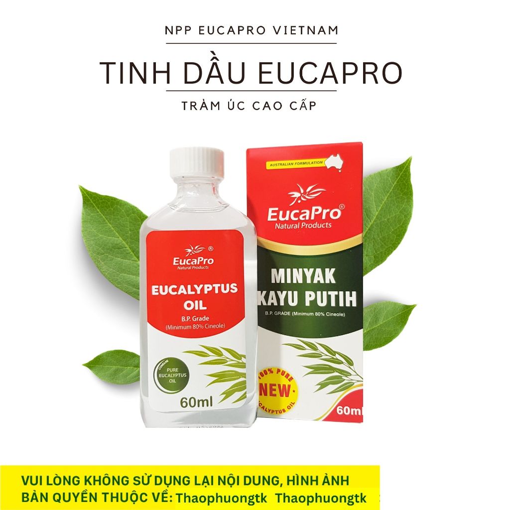 Dầu Khuynh Diệp Úc EukyBear, Eucapro, Kangaroo dầu euky bear, dầu tràm cao cấp, dầu gió, dầu khuynh 