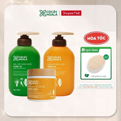 [TẶNG BÔNG TĂM XƠ MƯỚP] Combo Dầu Gội Và Dầu Xả Gừng Sả 500gr + Tẩy Da Chết Đầu Hỗ Trợ Làm Sạch Da Dầu, Ngăn Ngừa Gàu