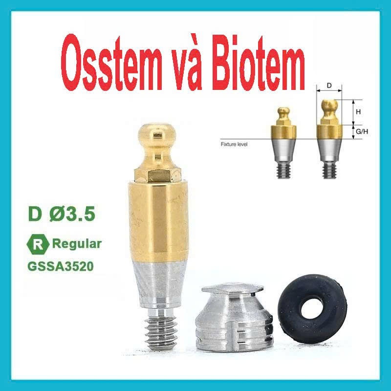 Abutment Ball Tương Thích với Implant Osstem/Hiossen & Biotem