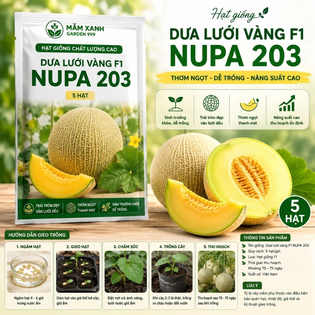 Hạt Giống Dưa Lưới Vàng F1 NUPA 203 – 5 Hạt | Giống Dưa Lưới Vàng Thơm Ngọt, Dễ Trồng